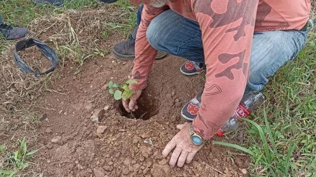 Fotos: MST PR, Guarapuava.