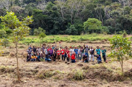 Juiz de Fora (MG), Famílias Assentadas e Acampadas, realizaram roçado preparando a terra para o plantio, manejo do pomar, afim de melhorar a qualidade da produção. Foto: @saragehren