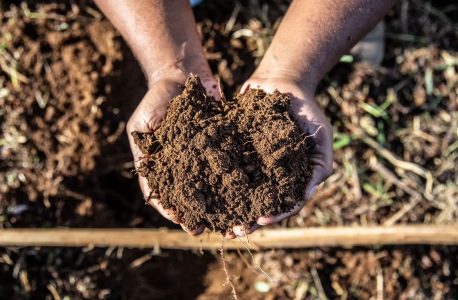 Juiz de Fora (MG), Famílias Assentadas e Acampadas, realizaram roçado preparando a terra para o plantio, manejo do pomar, afim de melhorar a qualidade da produção. Foto: @saragehren