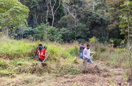 Juiz de Fora (MG), Famílias Assentadas e Acampadas, realizaram roçado preparando a terra para o plantio, manejo do pomar, afim de melhorar a qualidade da produção. Foto: @saragehren