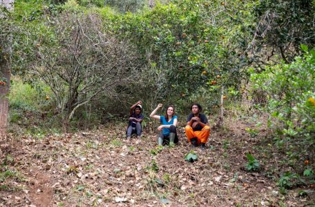 Juiz de Fora (MG), Famílias Assentadas e Acampadas, realizaram roçado preparando a terra para o plantio, manejo do pomar, afim de melhorar a qualidade da produção. Foto: @saragehren