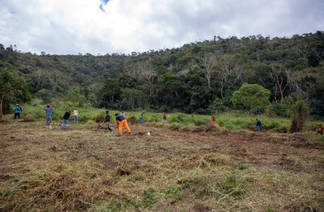 Juiz de Fora (MG), Famílias Assentadas e Acampadas, realizaram roçado preparando a terra para o plantio, manejo do pomar, afim de melhorar a qualidade da produção. Foto: @saragehren