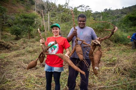 Juiz de Fora (MG), Famílias Assentadas e Acampadas, realizaram roçado preparando a terra para o plantio, manejo do pomar, afim de melhorar a qualidade da produção. Foto: @saragehren