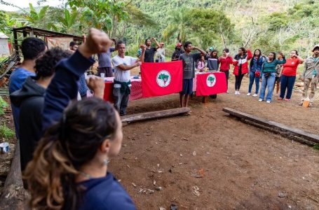 Juiz de Fora (MG), Famílias Assentadas e Acampadas, realizaram roçado preparando a terra para o plantio, manejo do pomar, afim de melhorar a qualidade da produção. Foto: @saragehren