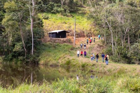 Juiz de Fora (MG), Famílias Assentadas e Acampadas, realizaram roçado preparando a terra para o plantio, manejo do pomar, afim de melhorar a qualidade da produção. Foto: @saragehren