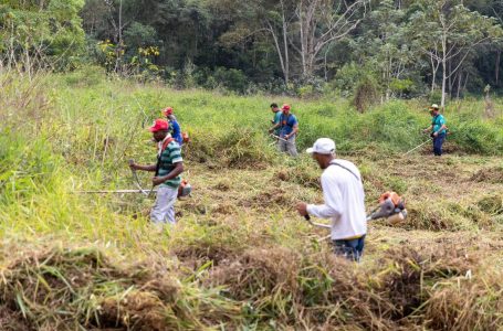 Juiz de Fora (MG), Famílias Assentadas e Acampadas, realizaram roçado preparando a terra para o plantio, manejo do pomar, afim de melhorar a qualidade da produção. Foto: @saragehren
