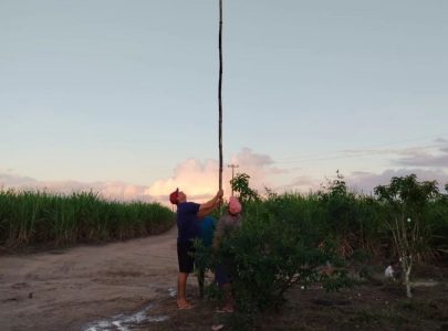 Junqueiro-AL, famílias do Acampamento Eldorado do Carajás, se organizaram em um mutirão de embelezamento da área. Foto: Jaciara Santos