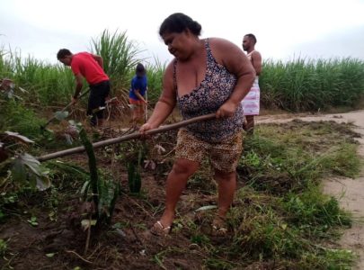 Junqueiro-AL, famílias do Acampamento Eldorado do Carajás, se organizaram em um mutirão de embelezamento da área. Foto: Jaciara Santos