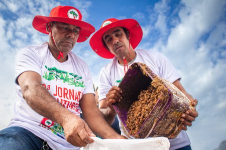 Quedas do Iguaçu-PR, festa da semeadura de Juçara abre a 2ª Jornada da Natureza. Foto: Juliana Barbosa