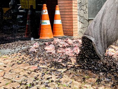 Maceió-AL, Escracho em frente à Prefeitura Municipal da capital alagoana denuncia omissão da gestão no caso BRASKEM, Foto: Comunicação MST-AL
