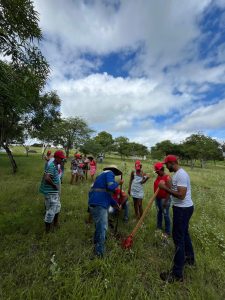 Dia Mundial do Meio Ambiente, as famílias assentadas no sertão de Alagoas, em parceria com a secretaria do meio ambiente, realizaram o plantio de mudas nativas no município de Piranhas - AL. Foto: Comunicação MST-AL