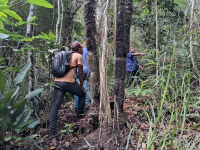 Reginal Extrem Sul da Bahia, Escola Popular de Agroecologia e Agrofloresta Egídio Brunetto, através da Equipe Técnica do Projeto de Restauração, está realizando a coleta de sementes nativas para a produção de mudas no viveiro da Escola, Foto: MST-BA