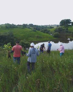 No Dia Mundial do Meio Ambiente, a Brigada Nelson Mandela continuou com as atividades de reflorestamento, plantando 56 mudas na Área de Preservação Permanente (APP) para recuperação da represa do pré-assentamento Bela Manhã, no município de Teixeira de Freitas. Foto: MST-BA