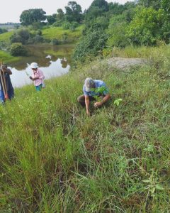No Dia Mundial do Meio Ambiente, a Brigada Nelson Mandela continuou com as atividades de reflorestamento, plantando 56 mudas na Área de Preservação Permanente (APP) para recuperação da represa do pré-assentamento Bela Manhã, no município de Teixeira de Freitas. Foto: MST-BA