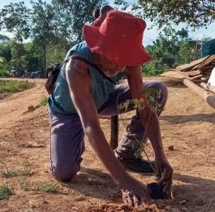 Parauapebas-PA, Acampamento Terra e Liberdade, realizaram plantio em alusão ao Dia do Meio Ambiente. Foto: MST-PA