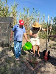 O Assentamento Água Limpa em Presidente Bernades no Pontal do Paranapanema (SP), também realizou sua homenagem ao nosso companheiro Pepe Mujica, plantando mudas de árvores nativas, Foto: MST-SP