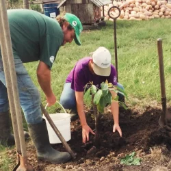 Rede de Sementes Agroecológicas Bionatur realizou o plantio de diversas mudas de árvores como homenagem ao companheiro Pepe Mujica, Foto: MST-RS