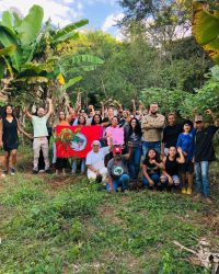 Plantio de abacateiro no sistema agroflorestal (SAF) do acampamento Pátria Livre, junto com a Escola Elizabeth Teixeira, no estado de Minas Gerais, Foto: MST-MG