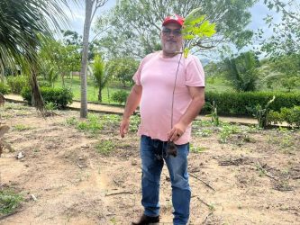 Assentamento Chico do Sindicato, em Atalaia (AL), realizou plantio de mudas nativas em homenagem ao Pepe Mujica, Foto: MST-AL