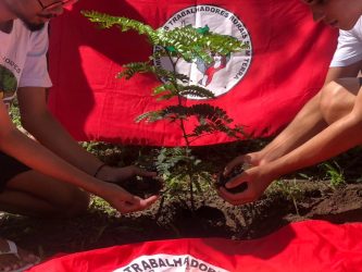Região norte de Sergipe, mudas frutíferas foram plantadas, e realizada assembleia de base. Foto: MST-SE