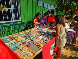 Na Escola Itinerante Caminhos do Saber, no Assentamento Maila Sabrina, em Ortigueira-PR, Foto: MST-PR