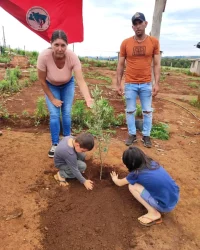 Jornada Sem Terrinha, crianças plantam mudas de oliveira na região Centro do Paraná, Foto: comunicação MST-PR