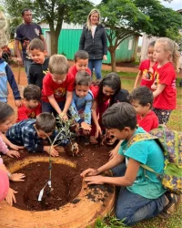 Jornada Sem Terrinha, crianças plantam mudas de oliveira na região Centro do Paraná, Foto: comunicação MST-PR