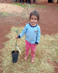 Jornada Sem Terrinha, crianças plantam mudas de oliveira na região Centro do Paraná, Foto: comunicação MST-PR