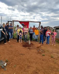 Jornada Sem Terrinha, crianças plantam mudas de oliveira na região Centro do Paraná, Foto: comunicação MST-PR