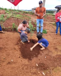 Jornada Sem Terrinha, crianças plantam mudas de oliveira na região Centro do Paraná, Foto: comunicação MST-PR