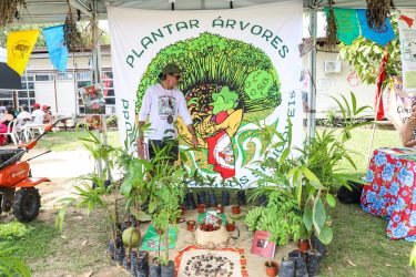 Foto: Priscila Ramos / MST