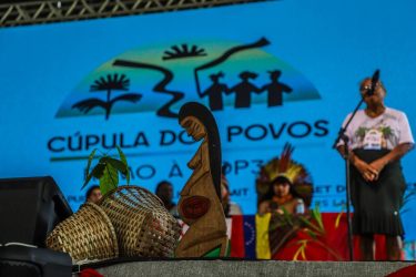 Plenária Feminismo e Território, Foto: Priscila Ramos / MST