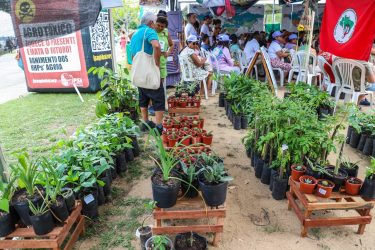 Foto: Priscila Ramos / MST