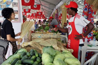 Foto: Sergio Cardoso