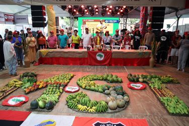 Foto: Sergio Cardoso