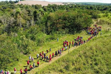 Mulheres Sem Terra da Comunidade Herdeiros da Terra de 1 de maio, Rio Bonito do Iguaçu, realizaram plantio de mudas. Foto: MST-PR