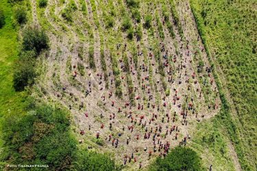 Mulheres Sem Terra da Comunidade Herdeiros da Terra de 1 de maio, Rio Bonito do Iguaçu, realizaram plantio de mudas. Foto: MST-PR