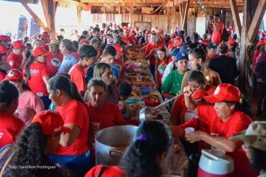 Mulheres Sem Terra da Comunidade Herdeiros da Terra de 1 de maio, Rio Bonito do Iguaçu, realizaram plantio de mudas. Foto: MST-PR