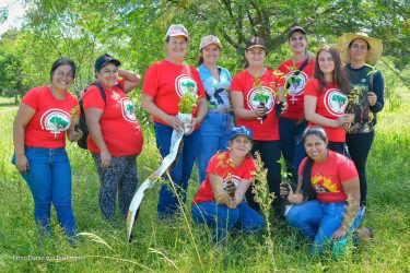 Mulheres Sem Terra da Comunidade Herdeiros da Terra de 1 de maio, Rio Bonito do Iguaçu, realizaram plantio de mudas. Foto: MST-PR