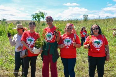 Mulheres Sem Terra da Comunidade Herdeiros da Terra de 1 de maio, Rio Bonito do Iguaçu, realizaram plantio de mudas. Foto: MST-PR