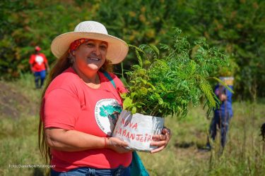 Mulheres Sem Terra da Comunidade Herdeiros da Terra de 1 de maio, Rio Bonito do Iguaçu, realizaram plantio de mudas. Foto: MST-PR