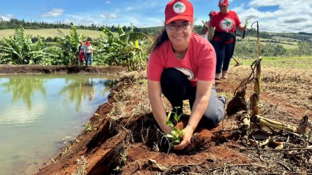 Mulheres Sem Terra da Comunidade Herdeiros da Terra de 1 de maio, Rio Bonito do Iguaçu, realizaram plantio de mudas.Foto: Diangela Menegaz MST-PR