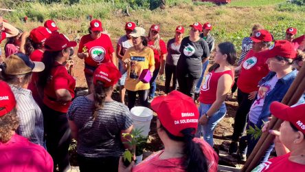 Mulheres Sem Terra da Comunidade Herdeiros da Terra de 1 de maio, Rio Bonito do Iguaçu, realizaram plantio de mudas.Foto: Diangela Menegaz MST-PR