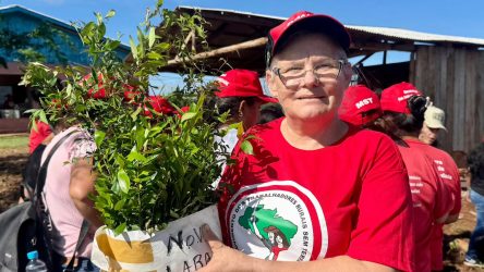 Mulheres Sem Terra da Comunidade Herdeiros da Terra de 1 de maio, Rio Bonito do Iguaçu, realizaram plantio de mudas. Foto: Diangela Menegaz MST-PR