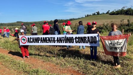 Mulheres Sem Terra da Comunidade Herdeiros da Terra de 1 de maio, Rio Bonito do Iguaçu, realizaram plantio de mudas.Foto: Diangela Menegaz MST-PR