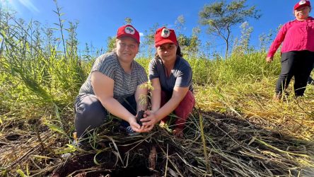 Mulheres Sem Terra da Comunidade Herdeiros da Terra de 1 de maio, Rio Bonito do Iguaçu, realizaram plantio de mudas.Foto: Diangela Menegaz MST-PR
