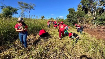 Mulheres Sem Terra da Comunidade Herdeiros da Terra de 1 de maio, Rio Bonito do Iguaçu, realizaram plantio de mudas.Foto: Diangela Menegaz MST-PR