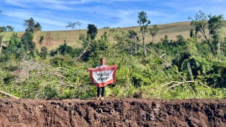 Mulheres Sem Terra da Comunidade Herdeiros da Terra de 1 de maio, Rio Bonito do Iguaçu, realizaram plantio de mudas.Foto: Diangela Menegaz MST-PR