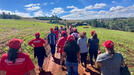 Mulheres Sem Terra da Comunidade Herdeiros da Terra de 1 de maio, Rio Bonito do Iguaçu, realizaram plantio de mudas.Foto: Diangela Menegaz MST-PR