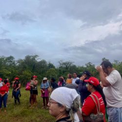 Mulheres Sem Terra ocupam área abandonada há 10 anos, no Piauí. Foto: MST-PI